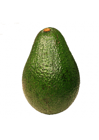 Avokado