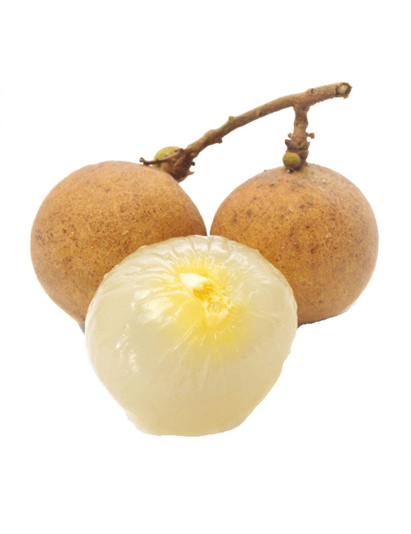 Longan