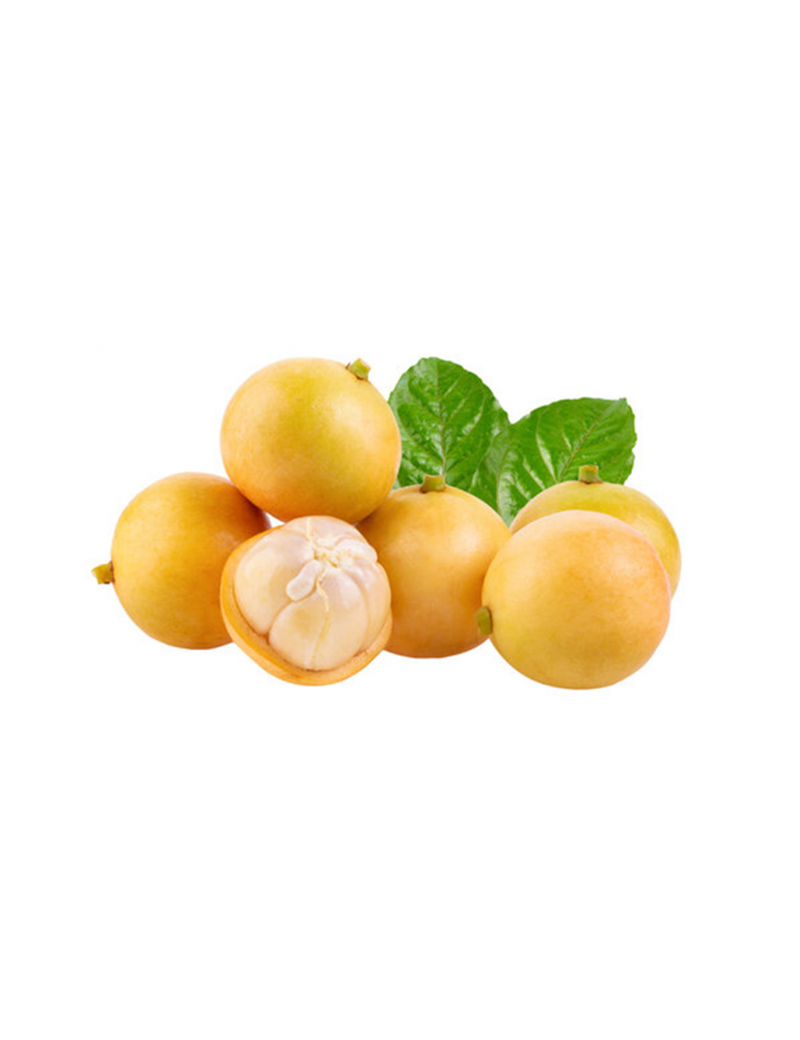 Burma Üzümü(Burmase Grape)