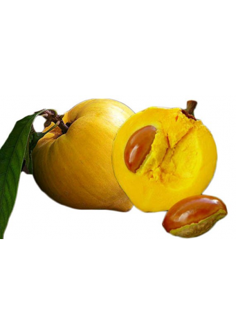 Egg Fruit