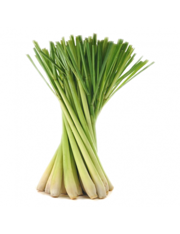 Lemongrass (Limon otu)