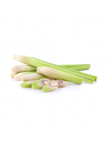 Lemongrass (Limon otu)