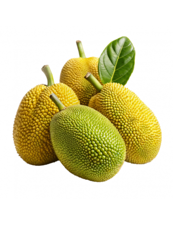 Jackfruit