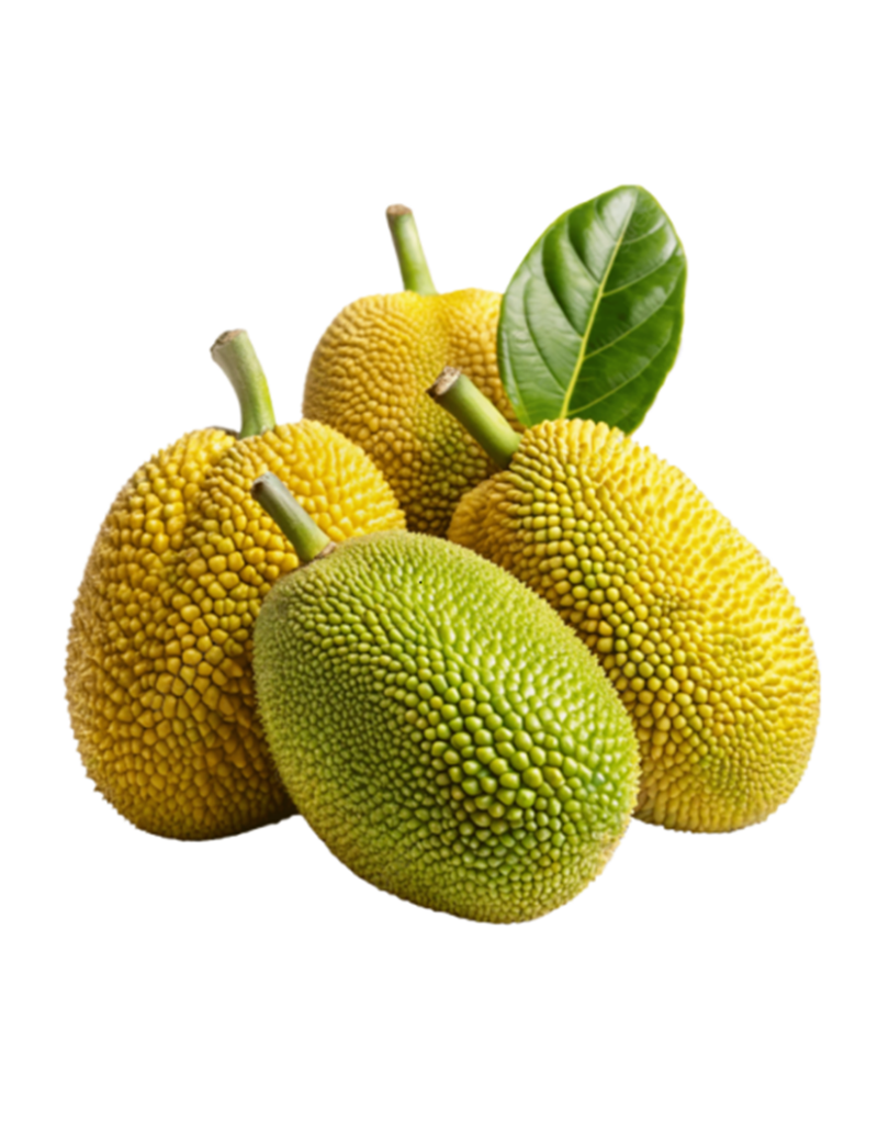 Jackfruit