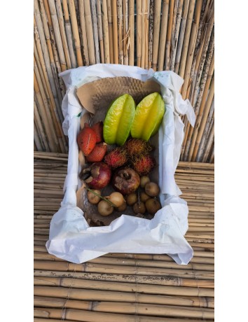 Lüks Tropikal Paket