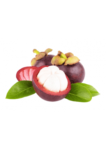 Mangosten 