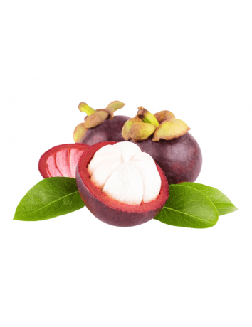 Mangosten 