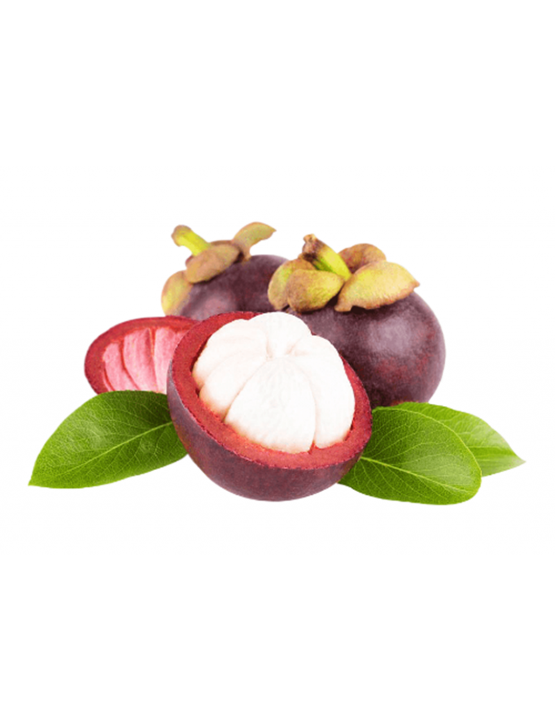 Mangosten 