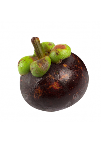 Mangosten 