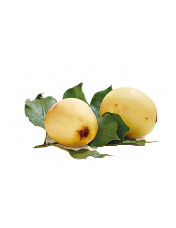 Marula