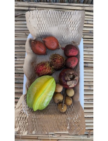 Mini Tropikal Paket
