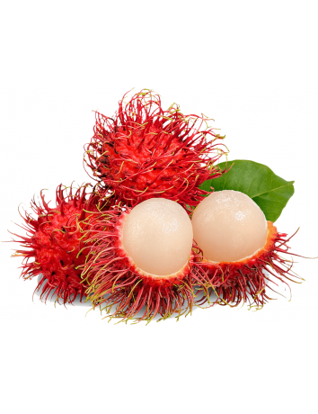Rambutan