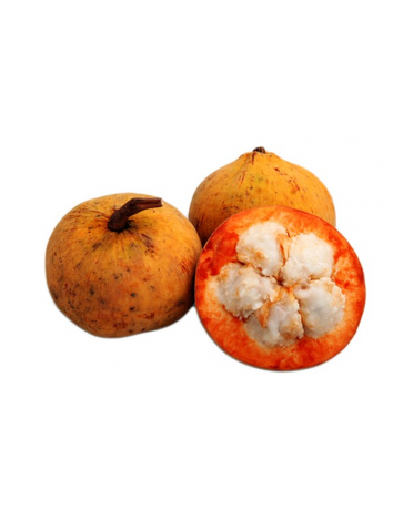 Santol