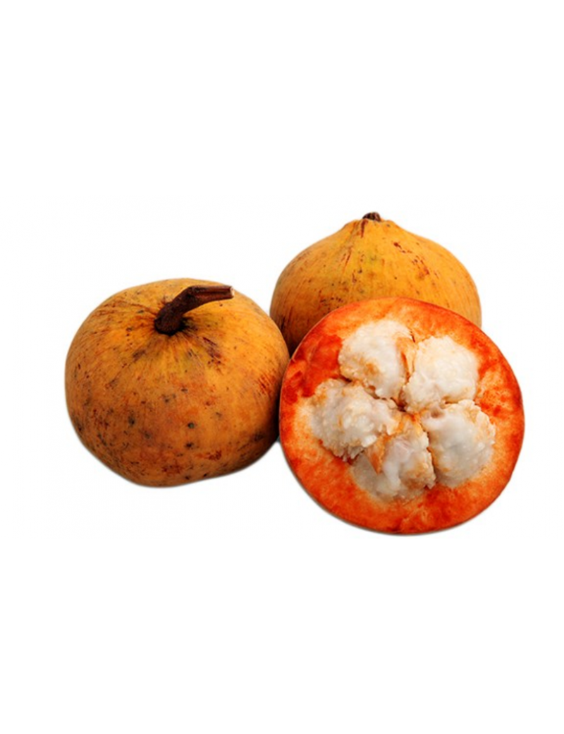 Santol