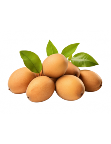 Sapodilla