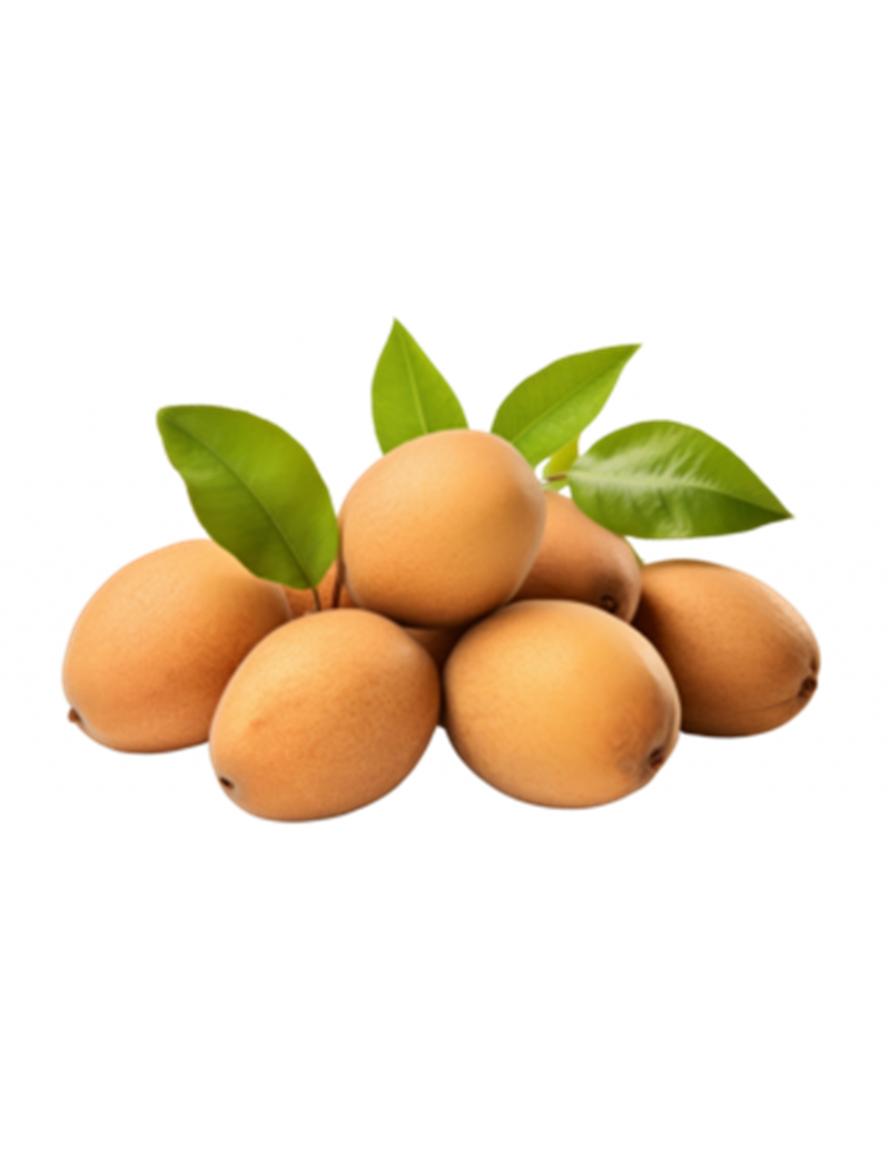 Sapodilla